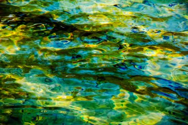 Traunsee Gölü 'nün kıyı bölgesindeki sularının arka planı. Suyun altındaki taşların renkli dokusu.