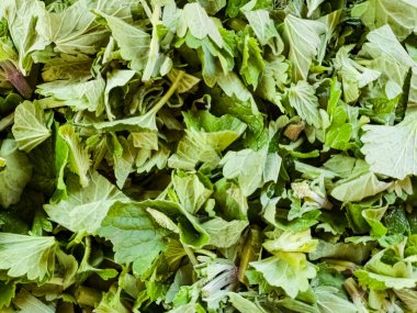 Kurumaya hazır taze kesilmiş limon merhemi yakın plan. Şifalı bitkiler..