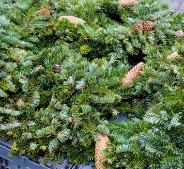 Noel ağacı pazarında taze ağaç dalları ve çam kozalaklarından yapılmış bir sürü Noel çelengi. Noel için hazırlanılıyor
