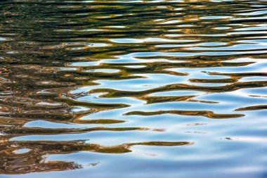 Water ripple texture background. Wavy water surface during sunset, golden light reflecting in the water.