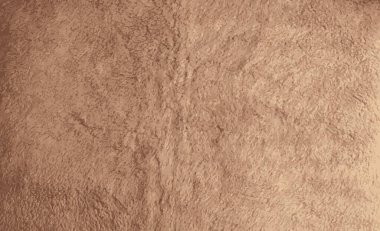 Realistic illustration of background picture of a soft fur beige carpet. Wool sheep fleece closeup texture background. Top view.