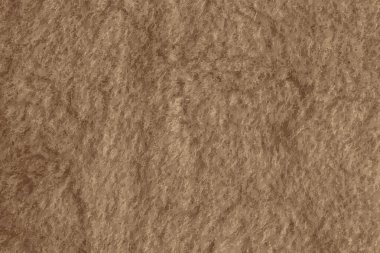 Realistic illustration of background picture of a soft fur beige carpet. Wool sheep fleece closeup texture background. Top view.