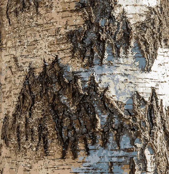 Birch kabuk dokusunun vektör çizimi. Ağaç kabuğunun dokusu. Birch kabuk arka planı. Huş ağacı gövdesi, Betula Pendula.
