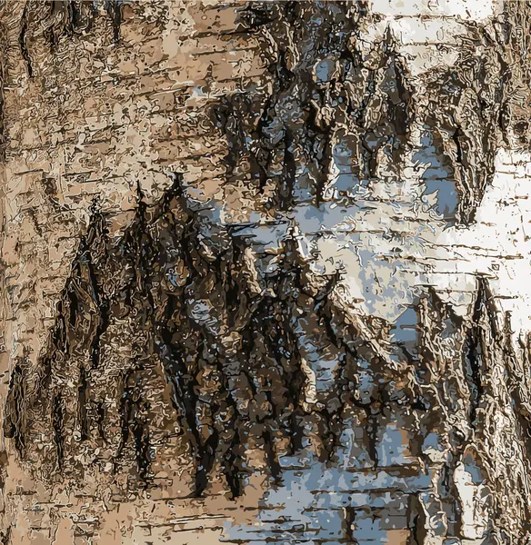 Birch kabuk dokusunun vektör çizimi. Ağaç kabuğunun dokusu. Birch kabuk arka planı. Betula pendula.