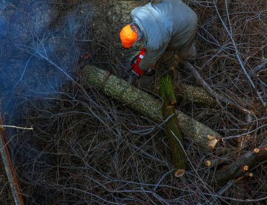 Belediye çalışanı bir apartmanın avlusundaki ağaç dallarını testereyle kesip çıkarıyor. Yukarıdan görüntüle.