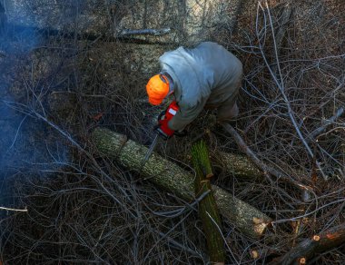 Belediye çalışanı, bir apartmanın avlusundaki ağaç dallarını kesip biçiyor. Yukarıdan görüntüle.