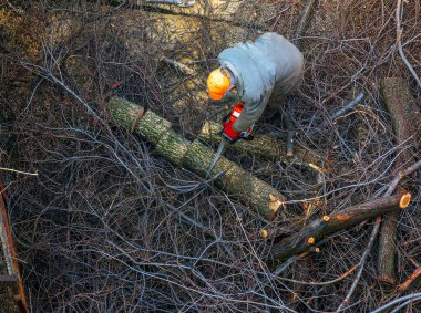 Belediye çalışanı, bir apartmanın avlusundaki ağaç dallarını testereyle kesip kaldırdı.