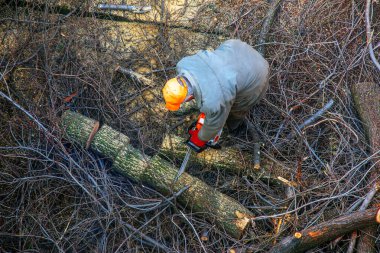 Bir belediye çalışanı, bir apartmanın avlusunda ağaç dallarını kesip kaldırıyor. Yukarıdan görüntüle.