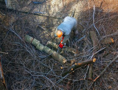 Bir belediye çalışanı apartmanın avlusundaki ağaç dallarını kesip biçiyor. Yukarıdan görüntüle.
