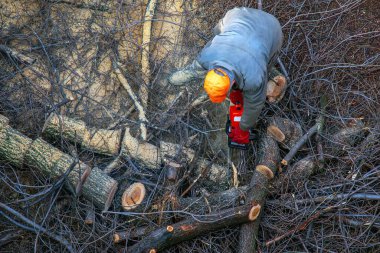 Belediye çalışanı, bir apartmanın avlusundaki ağaç dallarını kesip kaldırdı.
