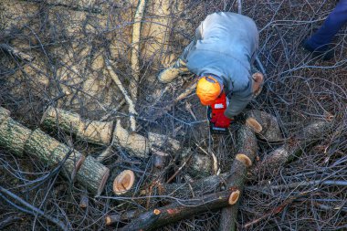 Belediye çalışanı, bir apartmanın avlusunda ağaç dallarını kesip kaldırdı..