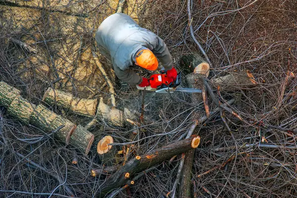 Bir belediye çalışanı apartmanın avlusundaki ağaç dallarını kesiyor ve kaldırıyor. Yukarıdan görüntüle.