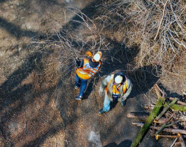 Dnipro, Ukrayna - 20 Mart 2024: Bir belediye çalışanı bir apartmanın avlusundaki ağaç dallarını temizledi ve kesti. Yukarıdan görüntüle.