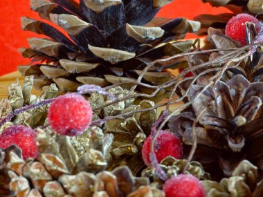 Yaratıcılık için yeni yıl seti. Doğal boyalı koniler ve jöleli kırmızı rowan. Yakın plan..