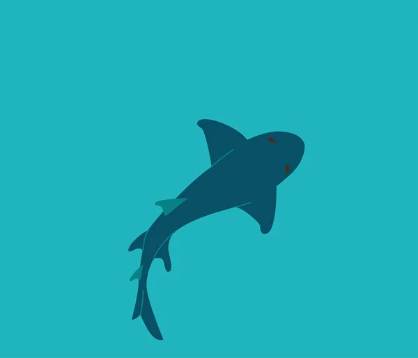 Shark Swim Water Top View Vector Illustration — Stock Vector
