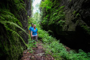Yaşlı çift ormanda yürüyüş yapıyor.