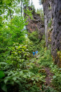 Yaşlı çift ormanda yürüyüş yapıyor.