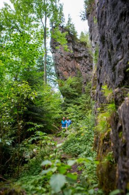 Yaşlı çift ormanda yürüyüş yapıyor.