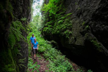 Yaşlı çift ormanda yürüyüş yapıyor.