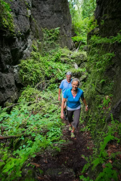 Older couple hiking in the forest