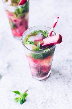 Rubarb, limon ve nane ile yaz ferahlatıcı içecek. Rubarb limonatası. Taze bahar rubarb mojito kokteyli..