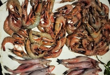 Balık pazarında çok karides var.