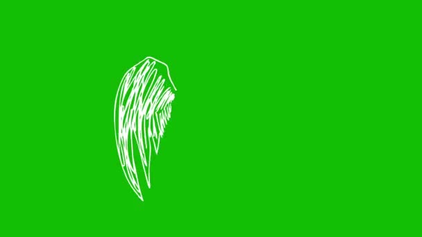Animación Alas Blancas Dibujadas Mano Sobre Fondo Pantalla Verde — Vídeos de Stock