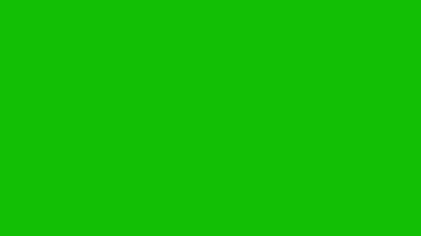 Yeşil ekran üzerinde bir karenin elle çizilmiş animasyonu. Çizgi filme benziyor..