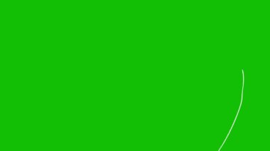 Yeşil ekran arka planında sarmal bir tasarım çiziliyor. Yeşil Ekran 'daki kıvrımlı sarmal çizgilerin el çizimi animasyonu