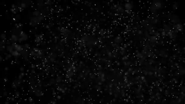 Pokrywa Śniegu Czarne Tło Zima Powoli Opadający Efekt Śniegu Czarny — Wideo stockowe