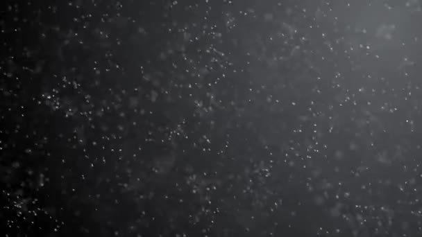 降雪覆盖 黑色背景 缓慢降雪效果 黑色背景屏幕 — 图库视频影像