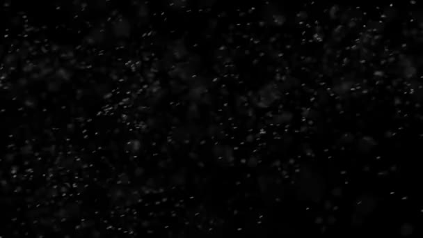 Sněhová Pokrývka Černé Pozadí Zima Pomalu Padající Sněhové Efekty Černé — Stock video