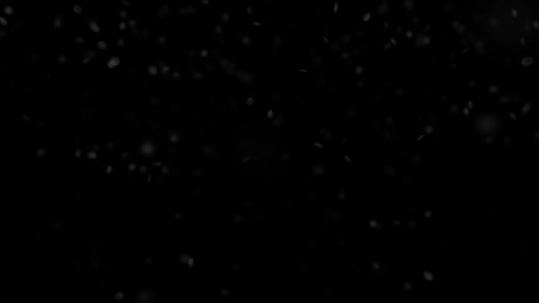 雪のオーバーレイ 黒の背景 ゆっくりと雪の効果 黒の背景画面 — ストック動画