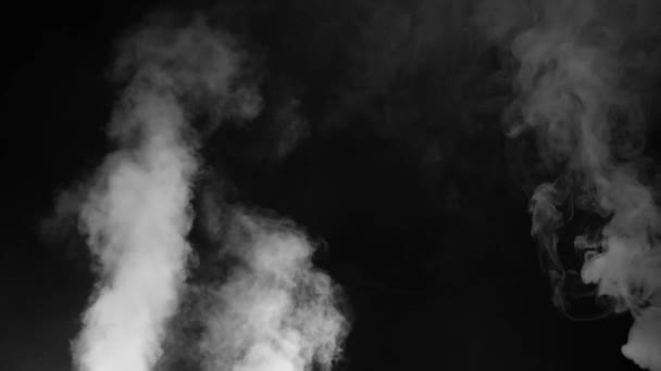 Fumée Blanche Abstraite Ralenti Fumée Nuage Brouillard Froid Dans Tache — Video