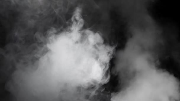 Fumée Blanche Abstraite Ralenti Fumée Nuage Brouillard Froid Dans Tache — Video