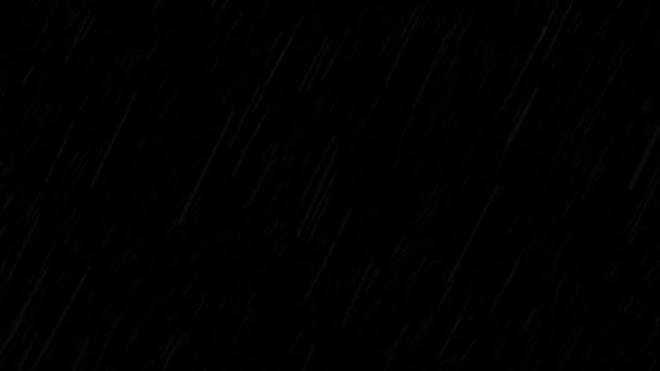 Loop Drops Falling Alpha Real Rain Висока Якість Повільний Дощ — стокове відео