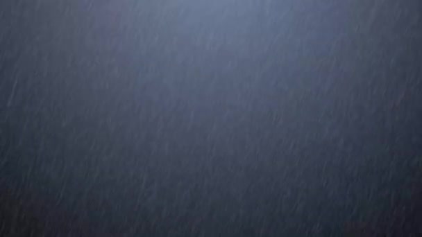 Cadute Pioggia Loop Alpha Pioggia Reale Alta Qualità Pioggia Lenta — Video Stock