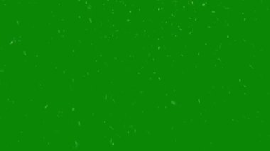 Yeşil Arkaplan 'a Düşen Kar Kaplaması. Chroma Key ile Kış Animasyonu. 4K Çözünürlüğü.
