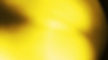 Hafif organik sızıntılar arka plan animasyon stok görüntülerini etkiler. Mercek ışığı etrafta yanıp sönüyor ve soyut bir arka plan animasyonu oluşturuyor. 4K 'da Klasik Işık Sızıntısı