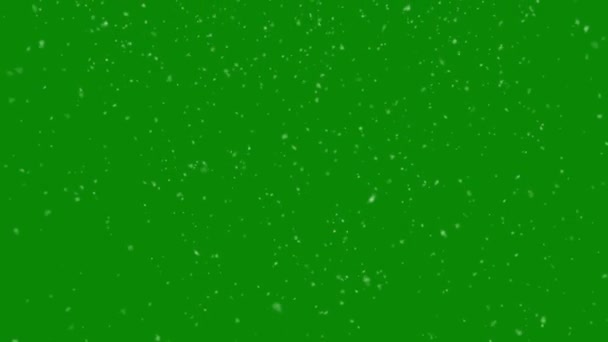 Falling Snow Overlay Green Background Winter Animation Dengan Chroma Key — Stok Video