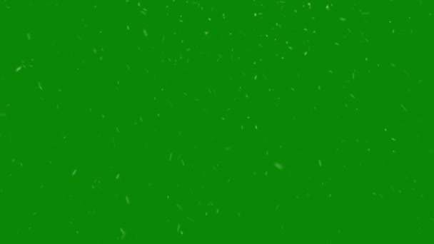 Caída Capa Nieve Sobre Fondo Verde Animación Invierno Con Chroma — Vídeos de Stock