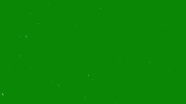 Зеленому Тлі Падає Сніг Зимова Анімація Chroma Key Резолюції — стокове відео