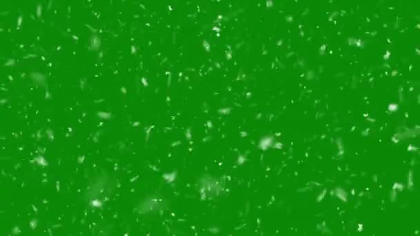 Revêtement Neige Tombant Sur Fond Vert Animation Hivernale Avec Chroma — Video