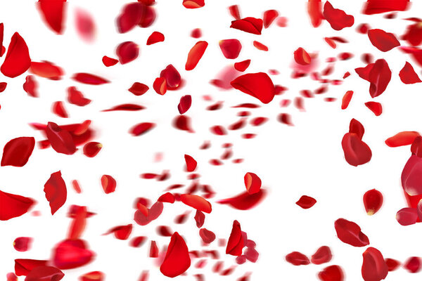 Ethereal Elegance: Flying Fresh Red Rose Petals on a Clean White Background. A Romantic and Timeless Image