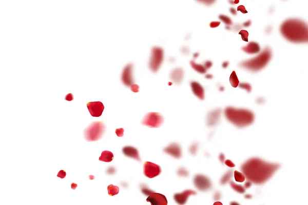 エテリアルエレガンス きれいな白い背景に新鮮な赤いバラの花びらを飛んでいます ロマンチックでタイムレスなイメージ — ストック写真