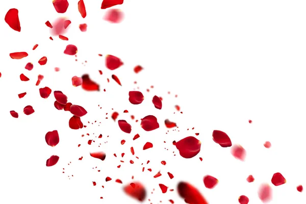 Elegância Etérea Flying Fresh Red Rose Petals Clean White Background — Fotografia de Stock