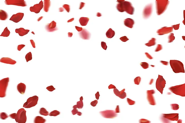 Temiz Beyaz Arkaplan Uçan Kırmızı Gül Yaprakları Romantik Zamansız Resim Stok Fotoğraf