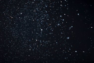 Yüzen parçacıklar. Yüzen toz. Ateş parçacıkları. Siyah arkaplan üzerindeki parçacıklar.