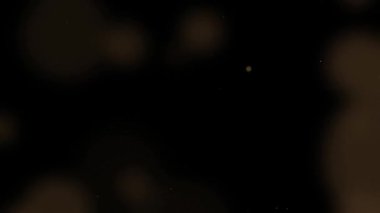 Kara Arkaplan 'daki Altın Parçacıklar - Yıldızlı Parıldayan Parçacıklar, Bokeh Parlak Parçacıklar Döngüsü Animasyonu