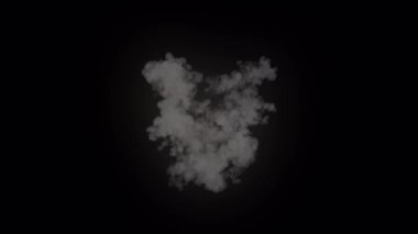 Canlandırılmış Ateş Efekti VFX Renkli Çeşitlilik ve Parıltı Efekti